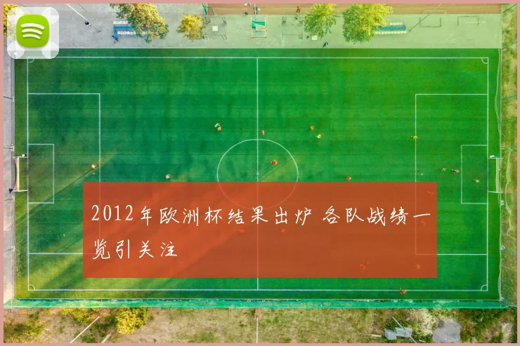 2012年欧洲杯结果出炉 各队战绩一览引关注